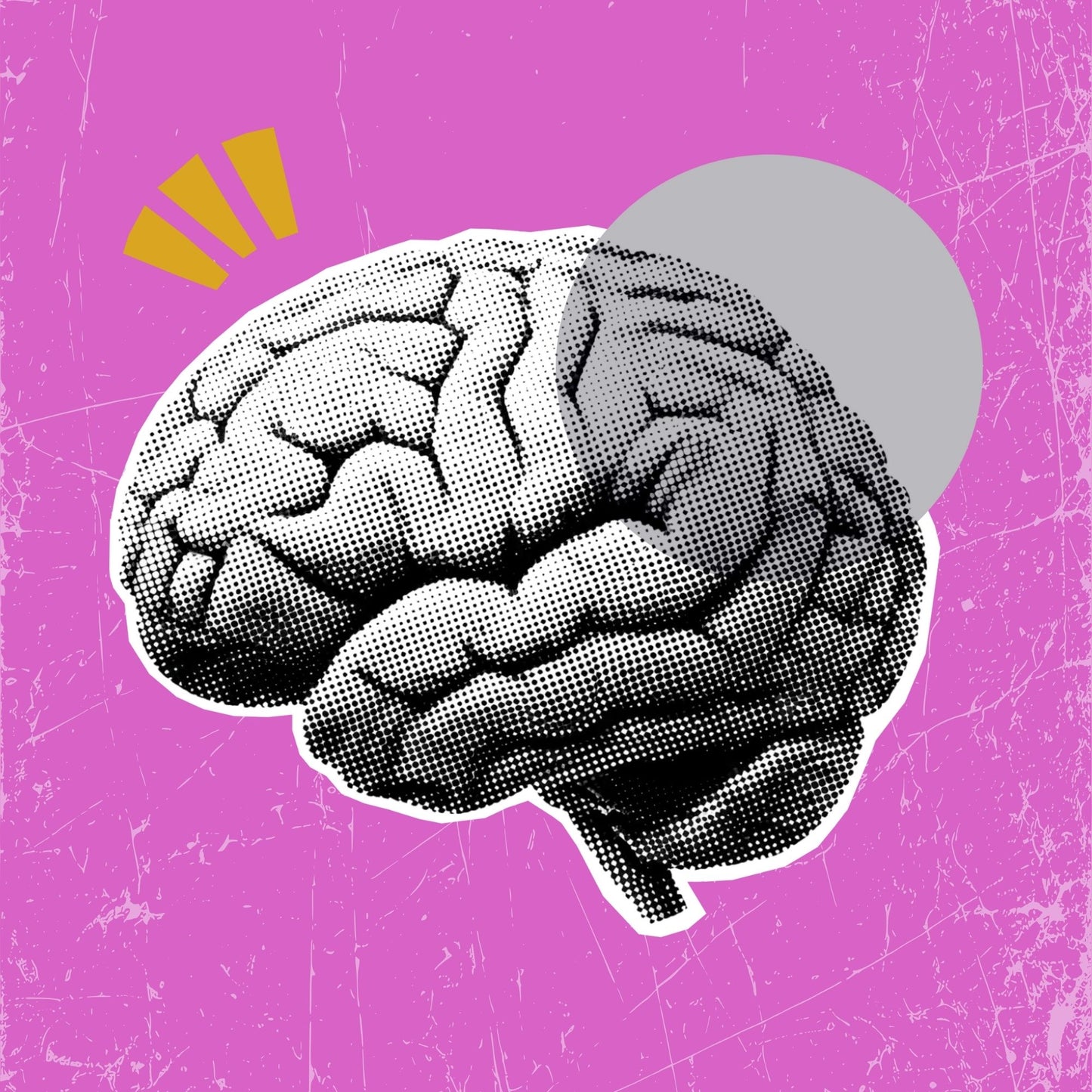 Development Bundle - Silver - Promo