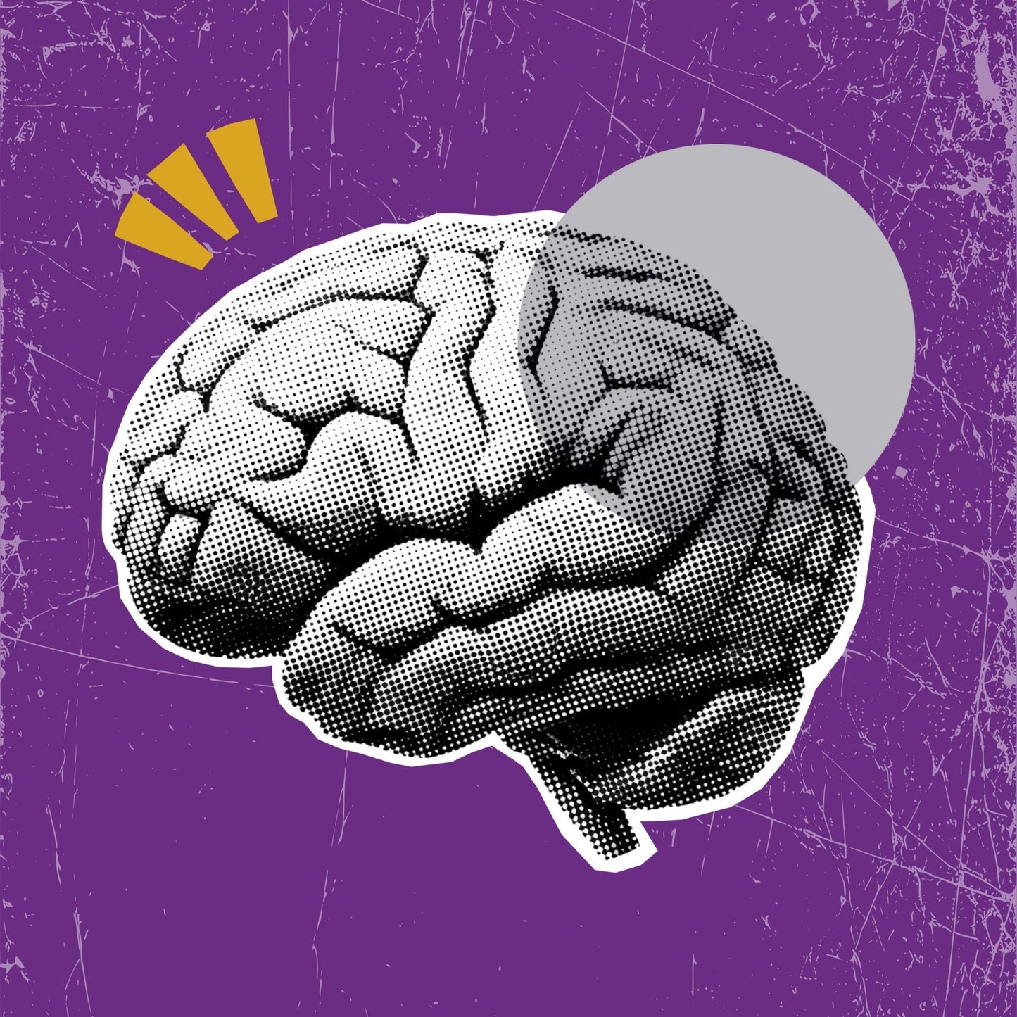 Development Bundle - Silver - Press