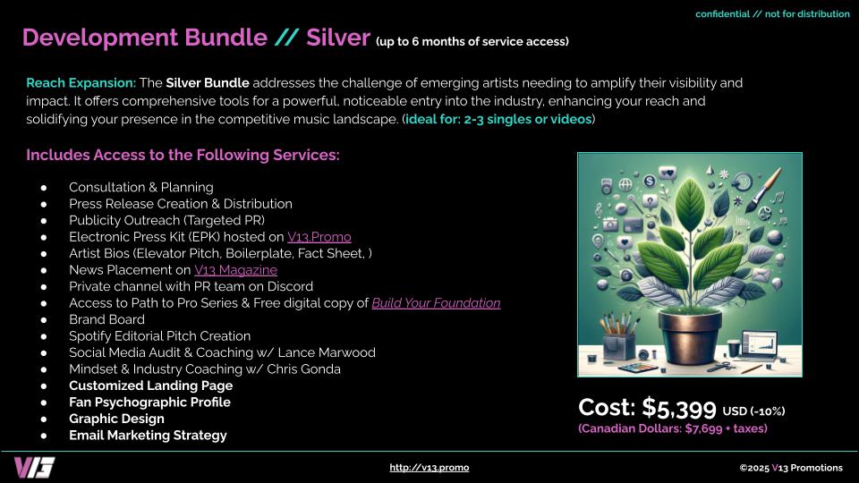 Development Bundle - Silver - Promo