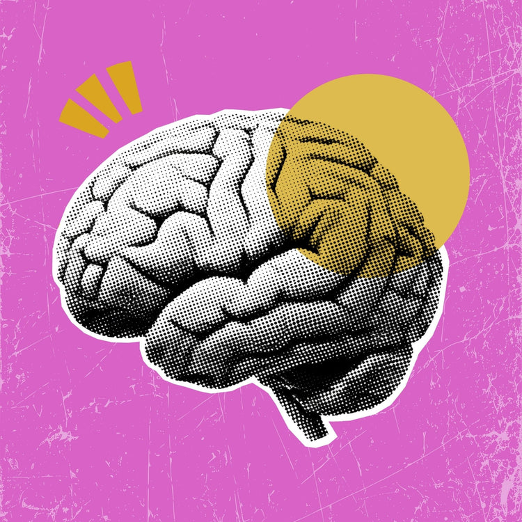 Development Bundles (for Musicians)