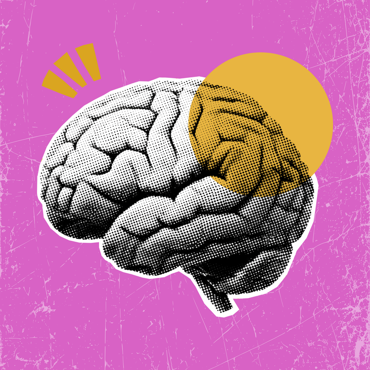 Development Bundles (for Authors)