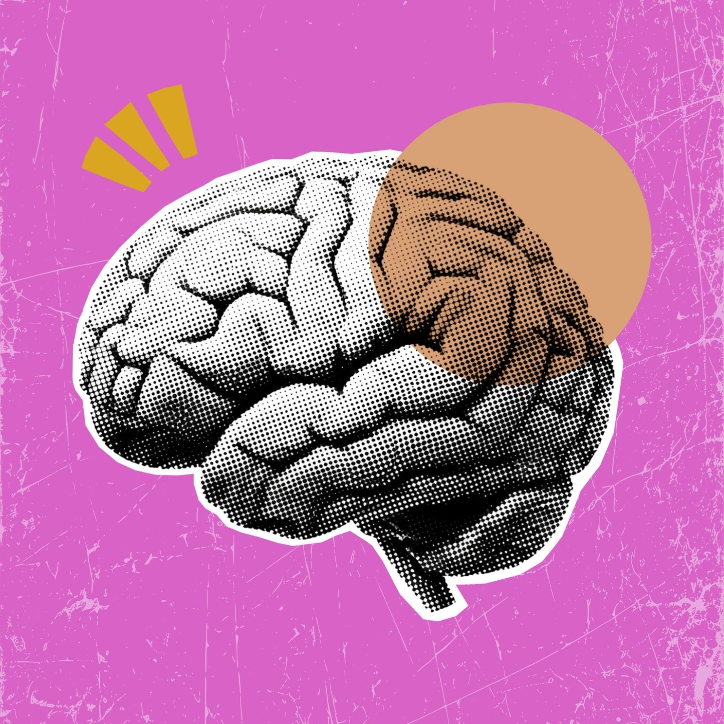 Development Bundle - Bronze - Promo