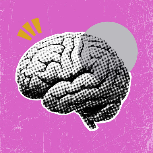 Development Bundle - Silver - Promo