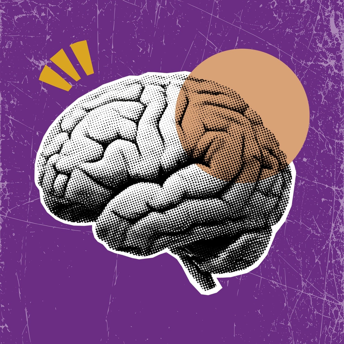 Development Bundle - Bronze - Press