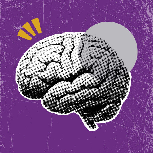 Development Bundle - Silver - Press