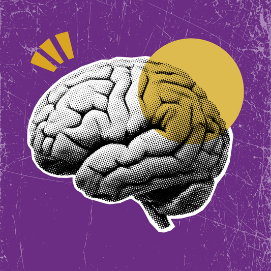 Development Bundle - Gold - Press